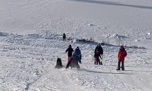 Dog Slides on His Own Sled