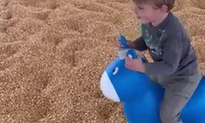 Boy Hops Toy Horse Head-First Into Corn