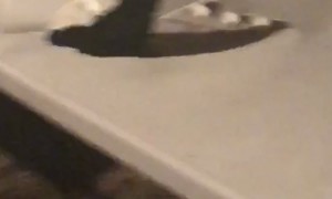 Woman Jumps Through a Table