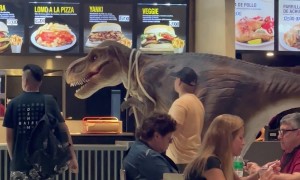 Man Walks Pet Dinosaur Through Mall