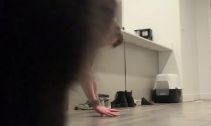 Cat Thinks He's in Trouble