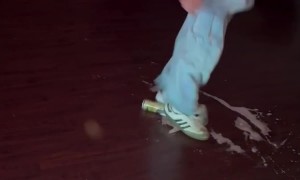 Guy Flips and Random Liquid Explodes