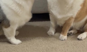 Personal Space Is Just a Suggestion