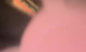 Friend's Dog Doesn't Want Nightclub Kisses