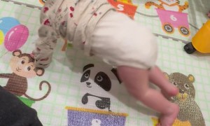 Baby Attempts a Plank