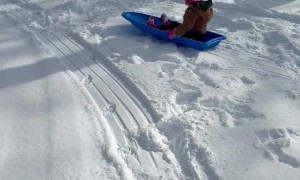 Baby Sleds Into Tree