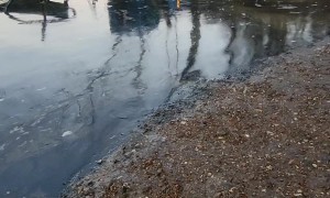 Man Drives Off Bridge to Avoid Crash