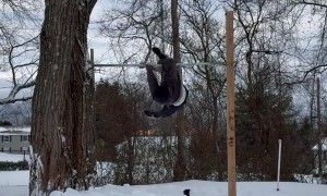 Athlete Attempts Backflip Regrab and Eats the Bar
