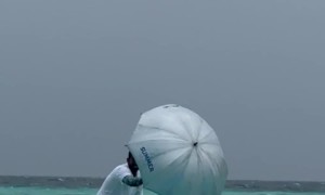 Surfing With Mary Poppins Energy