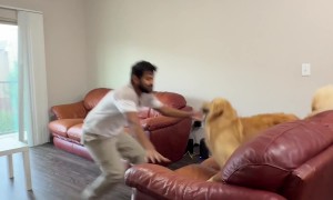 The Golden Sock Stealer