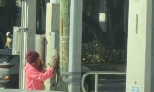 Woman Warms Iguana in Florida