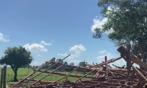 Dismantled Shed Falls On Man