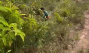 Motorcycle Crosses Puddle Only to Fall in Creek