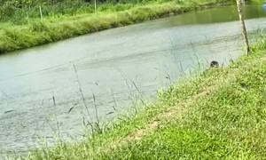 Friends Fall With The Fishing Net