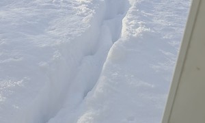 Orange Cat Discovers the Snow Is Deeper Than Expected