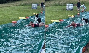 Dog Joins In On A Slip And Slide