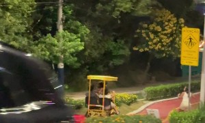 Cart Crashes Speeding Down a Hill
