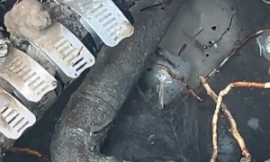 Getting To The Root Of The Problem