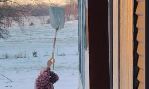 POV: When Your Daughter Is a Softball Catcher