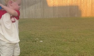 Toddler Practicing His Golf Game
