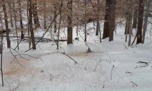 Corn Poured Down Icy Slope Makes Satisfying Sound