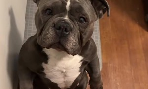 What Could She Possibly Want?