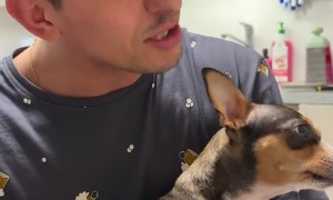 Dad and Dog Dramatic Duet