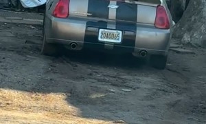 How to Roll Up a Water Hose 101