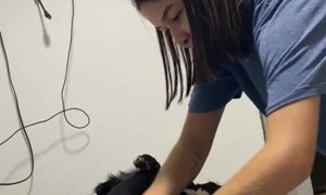 Puppy Maya Wants Moisturizer