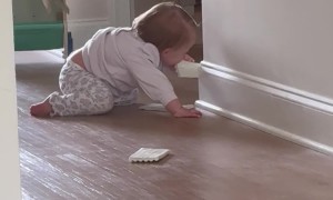 Biting Off the Baby-Proof Corners
