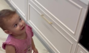 Little Girl Plays With a Snake