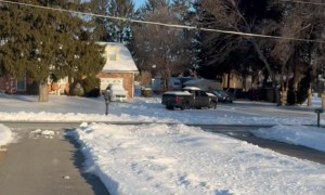 Driveway Ice Disk Smash