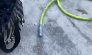 Tough Tote Bag Survives Car Fire