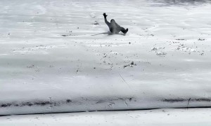 Fast Sledder Hits Both Curbs