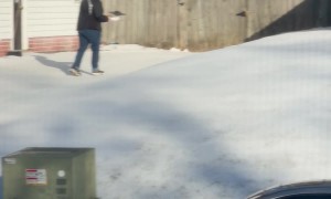 Neighbor Struggles To Walk Pizza Up Icy Driveway