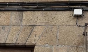 Dog Plays Catch Out the Window