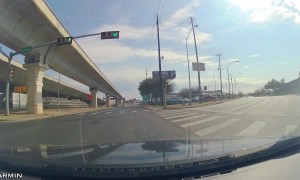 Bird Lands on Power Line and Gets Electrocuted