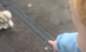 My Son Mistook Buddha Statue for His Dad