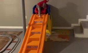 Toddler's Toy Roller Coaster