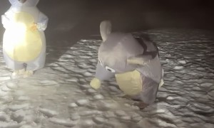 Funny 40 Year Olds in Rat Costumes