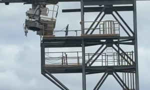 Cliff Masters in Triabunna, Tasmania