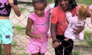 American Bully Dog and Her Neighborhood Friends