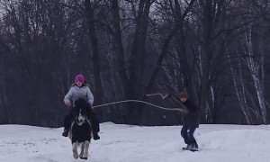 Little Snowboarder Pulled by Pony-Riding Sister