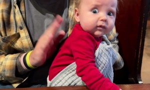 Concerned Baby Being Burped