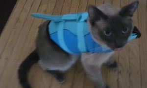 Seydlitz Not Feeling His New Life Jacket