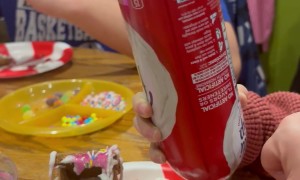 When You Take Instructions Literally