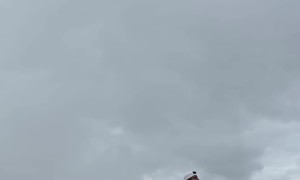 Photographer Gets Perfect Shot of Antonov-124