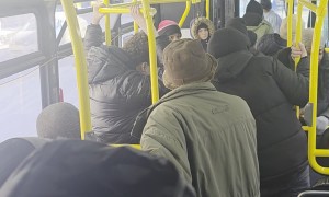 Guy Gets Jumped After He Hits Woman on Bronx Bus
