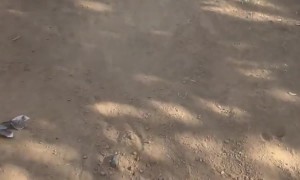 Extreme Mountain Biking Fail