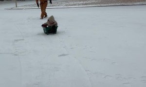 Laundry Basket Makes Perfect Improvised Sled